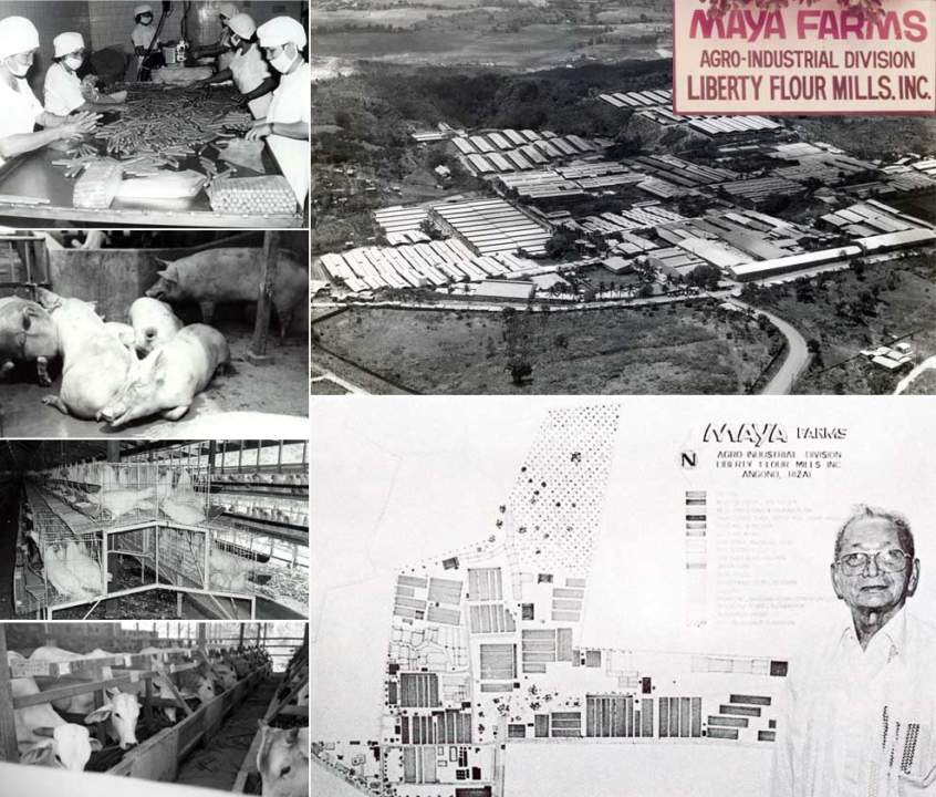10 Things You Didn't Know About Maya 10 Things You Didn't Know About Maya