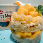 Double-Decker-Mini-Mango-Cake