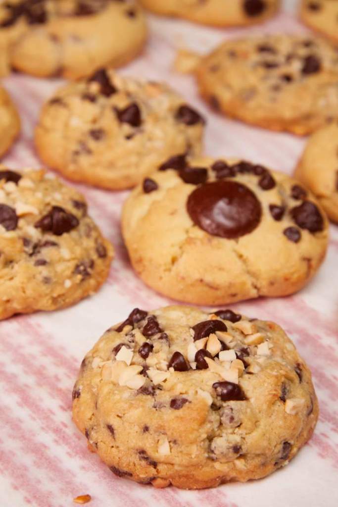 Thick And Moist Chocolate Chip Cookies