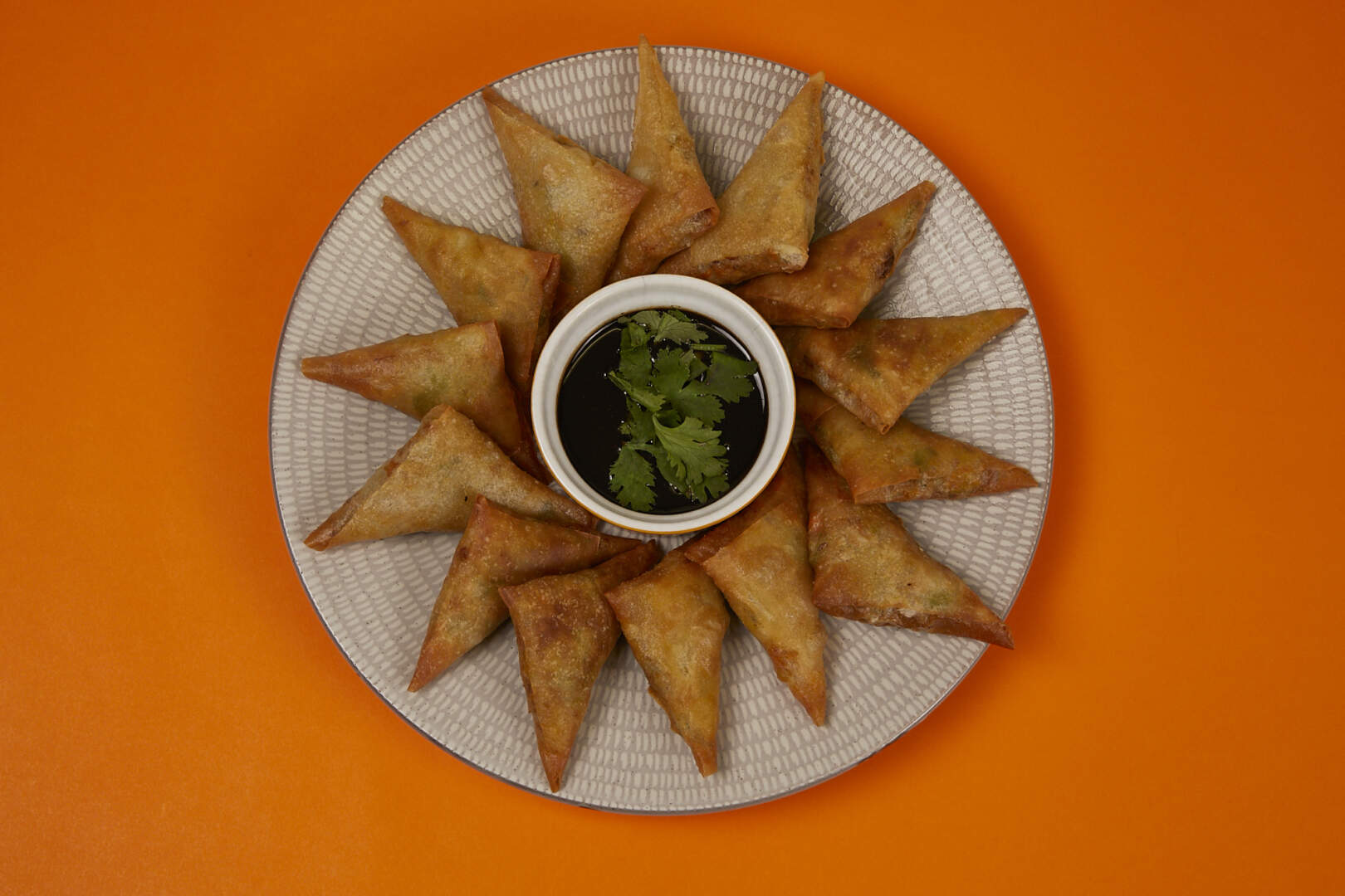 Mixed Vegetables Samosa